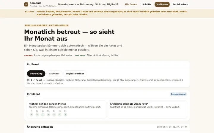 Beispielmonat in der Betreuung: gewähltes Paket, Technik-Prüfungen der Woche und eine erledigte Änderung.