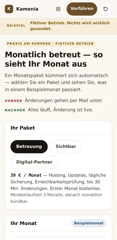 Beispielmonat der Betreuung auf dem Handy.